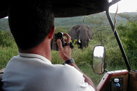 Todo sobre safaris, un blog recomendado