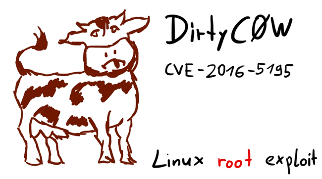 Dirty Cow