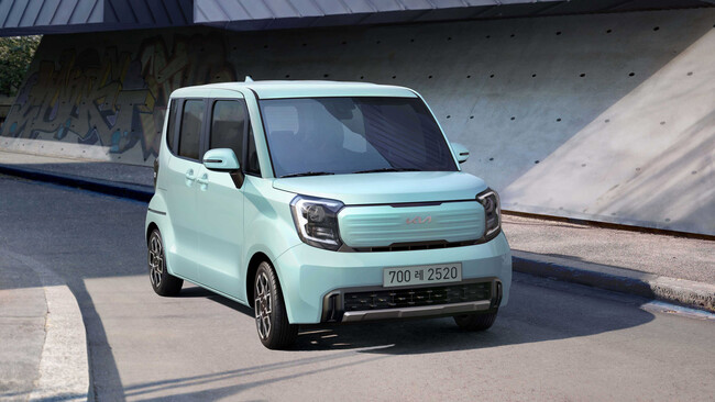 Kia Ray Ev 13