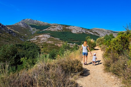 Ruta De La Miel