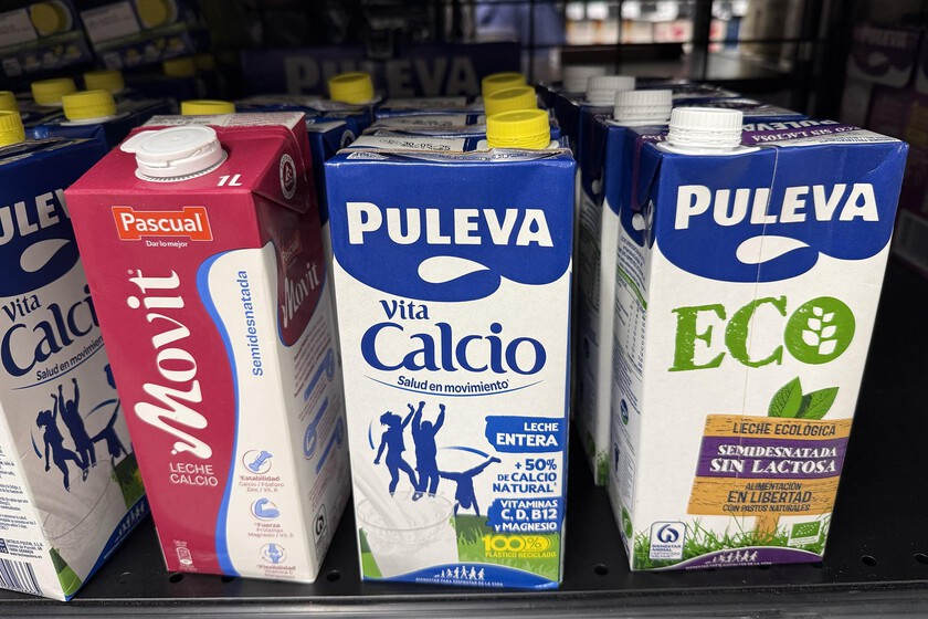 Leche