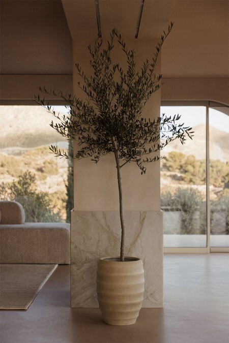 Macetero En Cemento Gabe