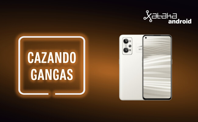 Cazando Gangas