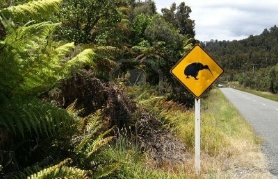 La longevidad humana vinculada al número de especies amenazadas