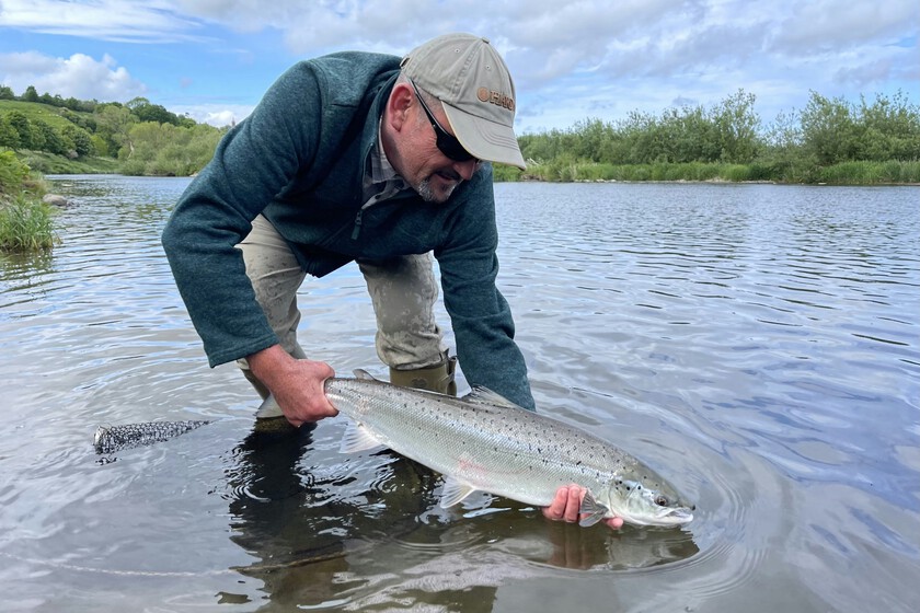 Unos científicos suecos le dieron cocaína a unos salmones para ver qué onda. Y pasó lo que tenía que pasar