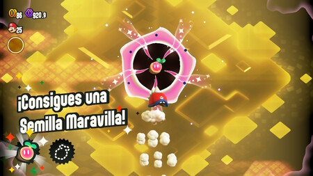 Semilla Maravilla