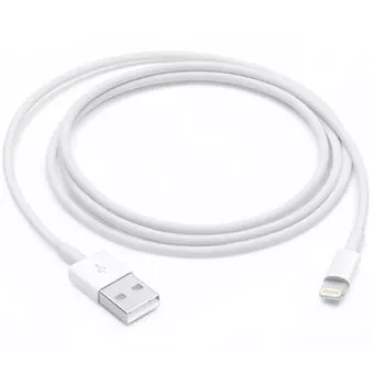 Apple Lightning - USB ケーブル 1 m