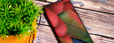 No hace falta tener un Pixel 7a para descargar sus fondos de pantalla. Te tienen que gustar los pájaros, eso sí 