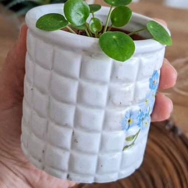 Cómo hacer una maceta tipo cerámica con una botella PET de aceite y una lata de vegetales vacía: parece comprada y queda muy bonita 