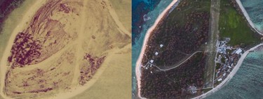 Em 1969, um piloto arrendou uma ilha de coral devastada e transportou tambores de água para os primeiros plantios; 50 anos depois, ela está irreconhecível 