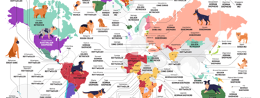 El mapa de las razas de perro más populares en cada país (pero sabemos que en España el favorito no es el border collie) 