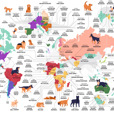 El mapa de las razas de perro más populares en cada país (pero sabemos que en España el favorito no es el border collie) 