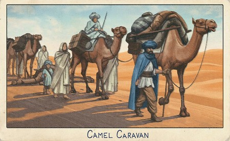 Maravillas Del Transporte 2