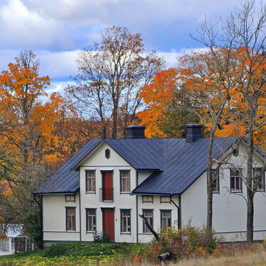 Los alemanes plantan este bonito árbol en su jardín para que suba el valor de su casa: es una inversión sensata y viable en España 