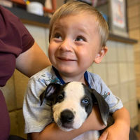La bonita historia de un niño de dos años con labio leporino y la perrita que adoptó con el mismo defecto congénito