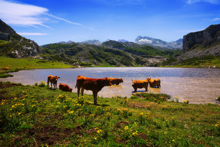 Asturias
