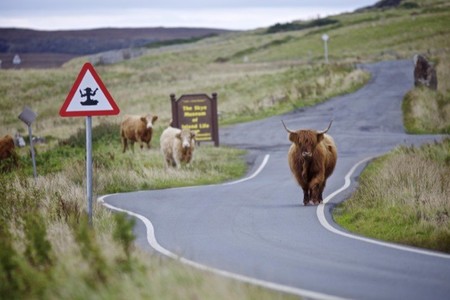 Las islas de Skye en Escocia y Skylands se hermanan para celebrar la llegada de los Swap Force de Skylanders