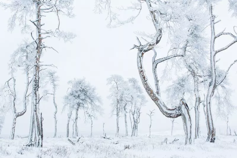 Foto de Mundo Vegetal (5/10)