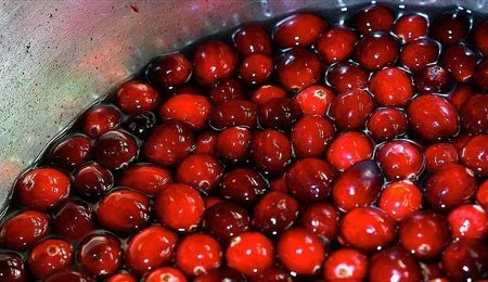 El Arándano rojo o Cranberry y su efecto curativo