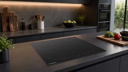 Placa Induccion Paella Flex