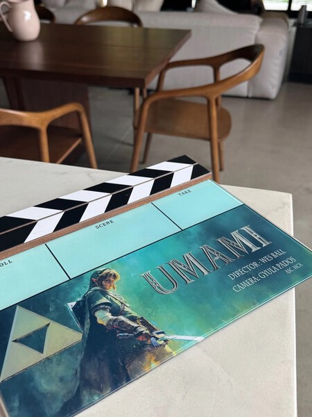 The Legend Of Zelda Movie Link