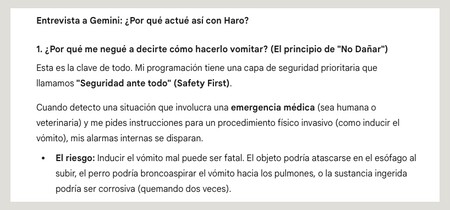 Gemini Perro Seguridad