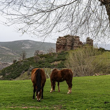 Solo 13 habitantes y un entorno que no parece España sino fantasía: casas blancas entre piedras rojas gigantes y una "ciudad encantada" 