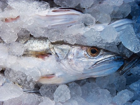 pescado