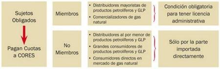 cores-miembros-obligatorios.JPG