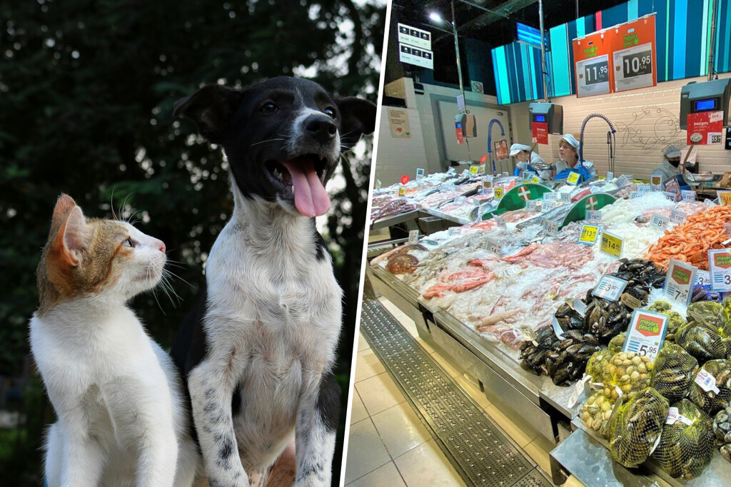 Los españoles comemos cada vez menos pescado. Así que las pescaderías están reciclando su producto... para las mascotas