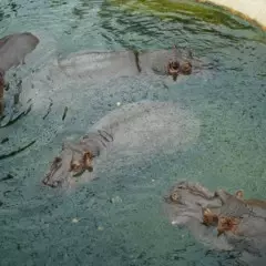 Foto 6 de 16 de la galería muestras-fe-50mm-f1-4-za en Xataka Foto