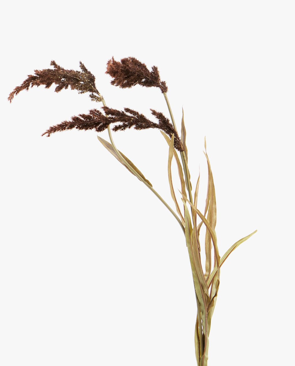 En Zara Home también tienen la mejor selección de plantas artificiales