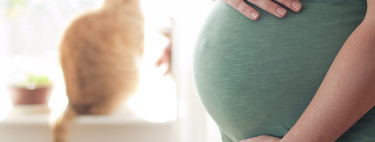Toxoplasmosis en el embarazo: qué es, síntomas y cómo evitar el contagio