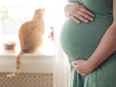 Toxoplasmosis en el embarazo: qué es, síntomas y cómo evitar el contagio