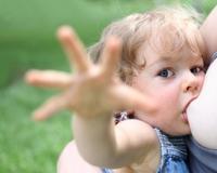 Los mejores posts sobre lactancia del año 2014