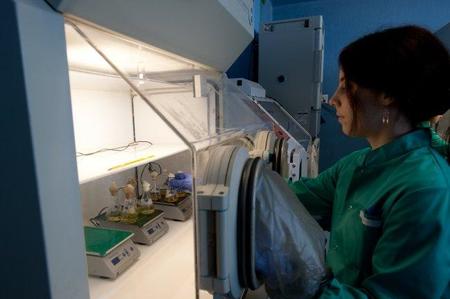 Inaguración del Instituto de Investigación en Ciencias de la Alimentación