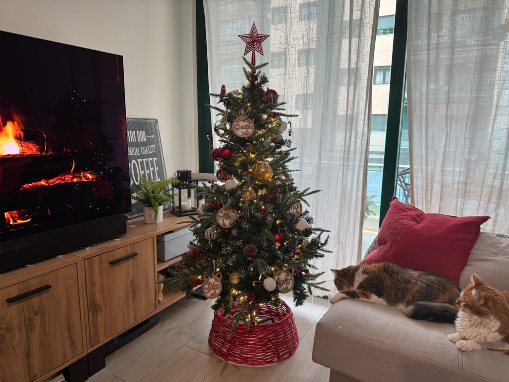 Este es el peor sitio de la casa para colocar el árbol de Navidad. Puede arruinar tu conexión a Internet