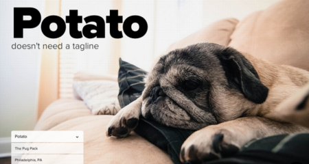 Pack: tu perro también merece tener su perfil online