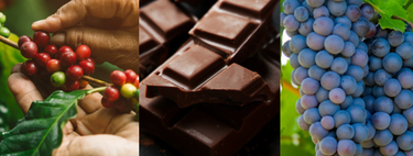 Chocolate, café e vinho: mesmo que métodos de intervenção climática deixem o ar mais "frio", cientistas não garantem que estes alimentos continuarão disponíveis no mercado