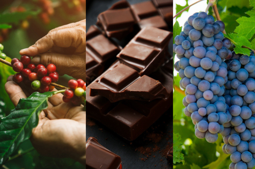 Reprodução/Getty Images