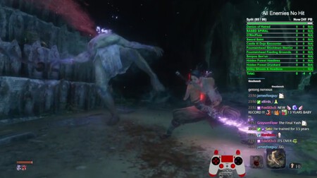 Sekiro No Hit Run Final