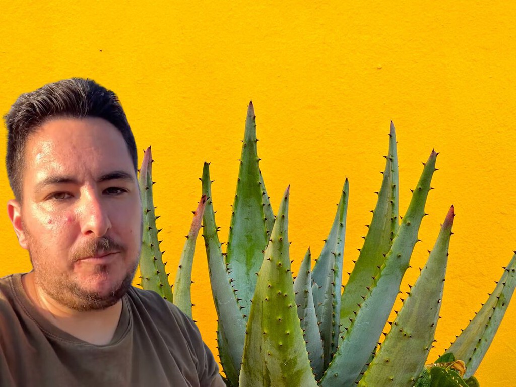 Si tu aloe vera se está poniendo marrón, no significa que se esté muriendo: este experto explica qué está pasando