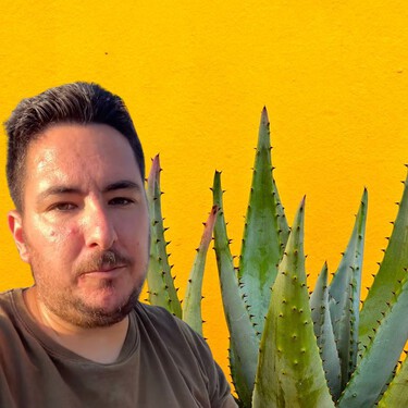 Si tu aloe vera se está poniendo marrón, no significa que se esté muriendo: este experto explica qué está pasando 