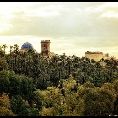 elche