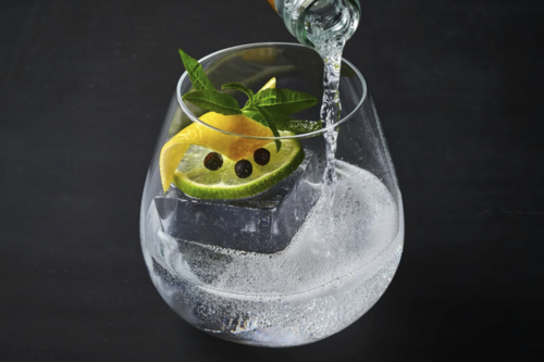 Mejor Gin Tonic a la española
