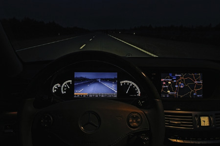 Animales Carretera 3