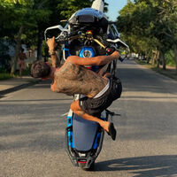Grauzeiros, o chavales brasileños haciendo wheelies con trails de casi 300 kg a ritmo de samba. Y han inundado tu Instagram 