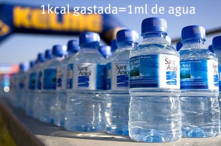 Calcula el agua que necesitas después de entrenar