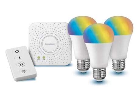 Set Bombillas Colores