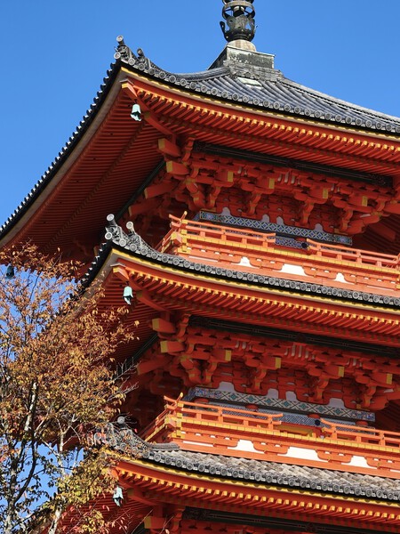 Oppo Find X9 Pro Analisis Review Experiencia Uso Mexico Pruebas Fotos Camara Telefoto Zoom 6x